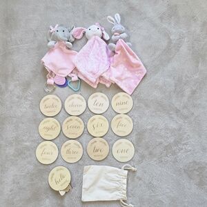 Pink Snuggle Blankie And Wooden Milestone Disc Bundle